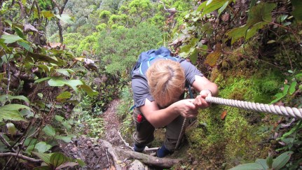 Simona, Mt. Mulu, Borneo
