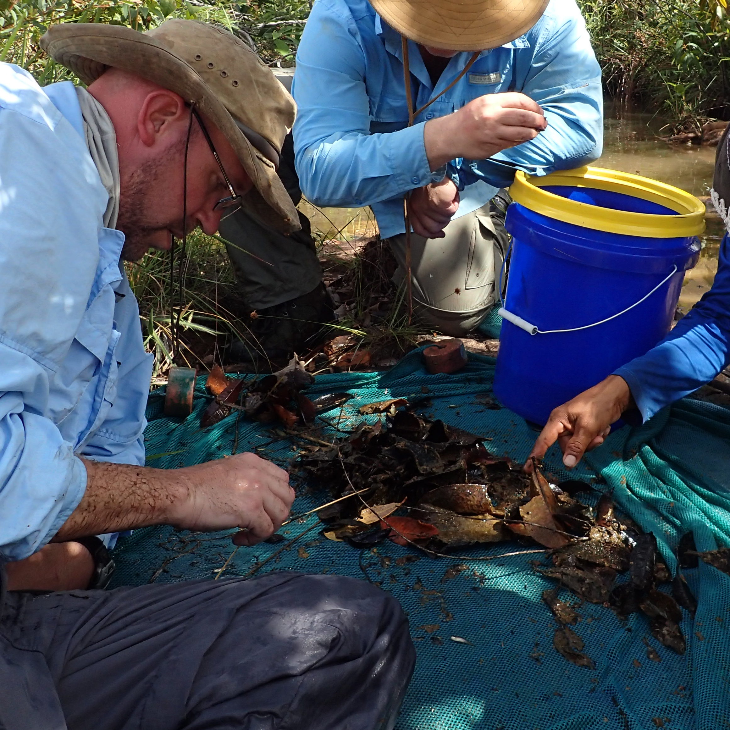 People looking through contents of a fishing net.