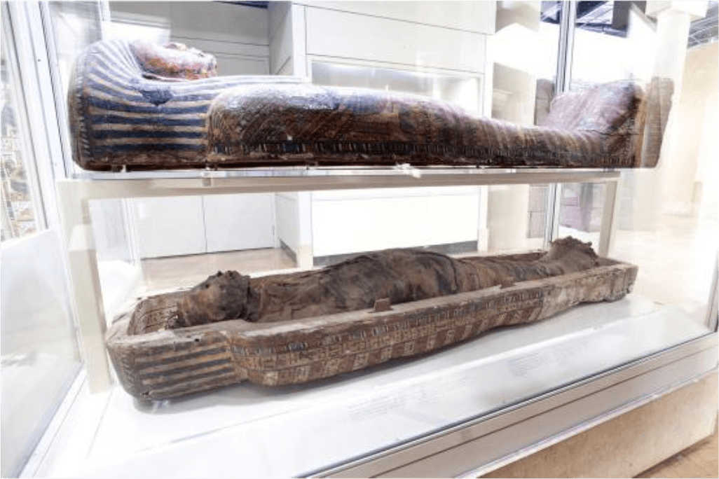 Momie d'Antjau, vers 664-600 avant notre ère, ROM 910.12.C.