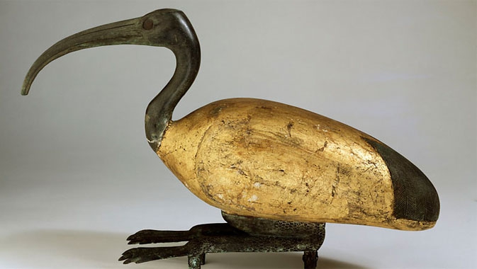 The importance of certain animals in Ancient Egyptian culture is represented by many artifacts, such as this ibis mummy.