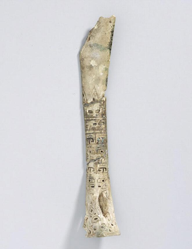 Tiger bone hunting trophy, inscribed bone, first half of 11th century BCE, Shang Dynasty, Anyang Period, Fifth Period, China. Bishop William C. White Collection.