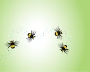 several bumble bees flying on a green background