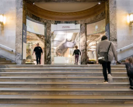 Wide marble staircase inside a grand building with people walking up and down and two ornate wall lamps on either side.