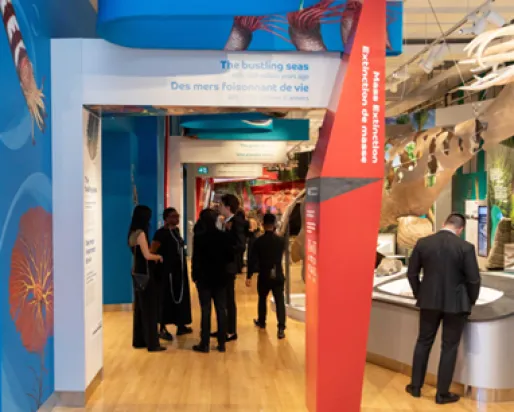 Visitors stand and look at exhibits in a gallery with colorful informational panels overhead and display cases along the walls.