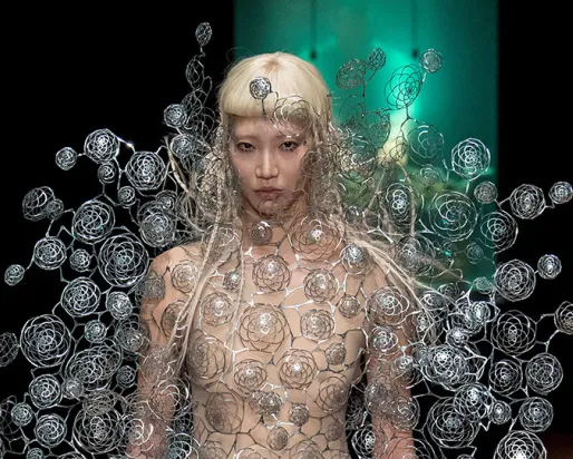 La robe Dome d'Iris VanHerpen.
