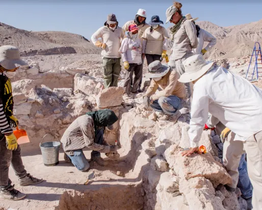 Travail de terrain du ROM pendant la saison 2016 à Quilcapampa. Le ROM a travaillé sur le site de 2013 à 2017 avec une équipe internationale du Pérou, des États-Unis et du Canada.