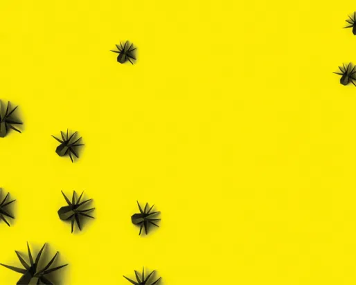 Origami spiders
