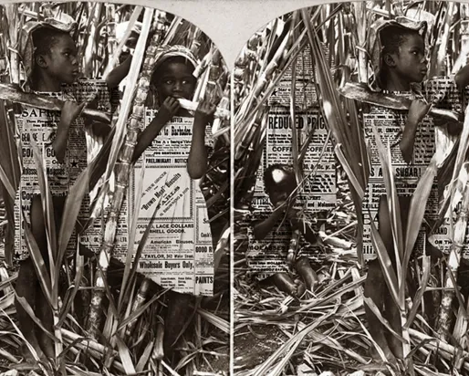 Archival photograph and archival text printed on backlit fabric panel.

