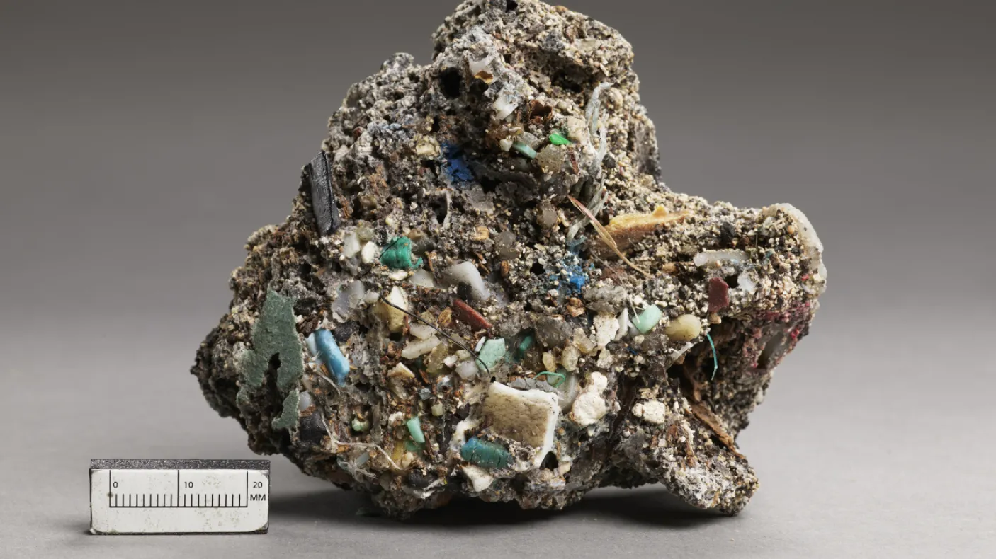 Spécimen minéral brut et irrégulier avec des formations cristallines turquoise et blanches, représenté à côté d'une échelle de 5 cm.