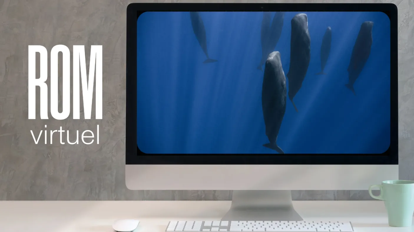 Logo ROM virtuel en texte blanc sur fond gris avec un écran d'ordinateur montrant des baleines sous l'eau.