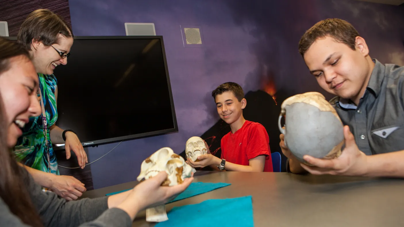 Three diverse smiling students hold replica early human skulls while talking to an educator.