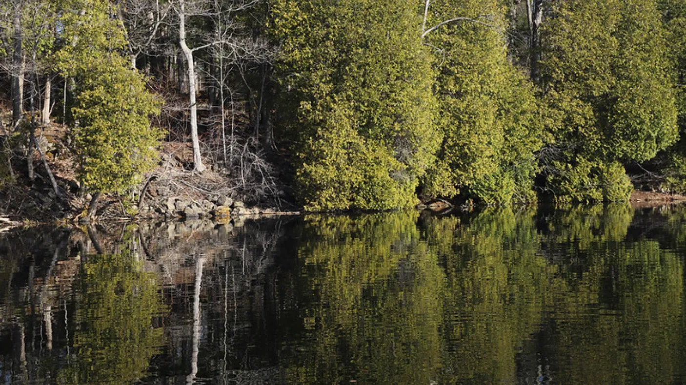 Lac Crawford