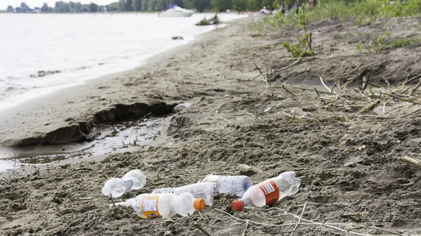 Plastic pollution found at Turkey Point on Lake Erie. Photo credit: Cristina Bergman
