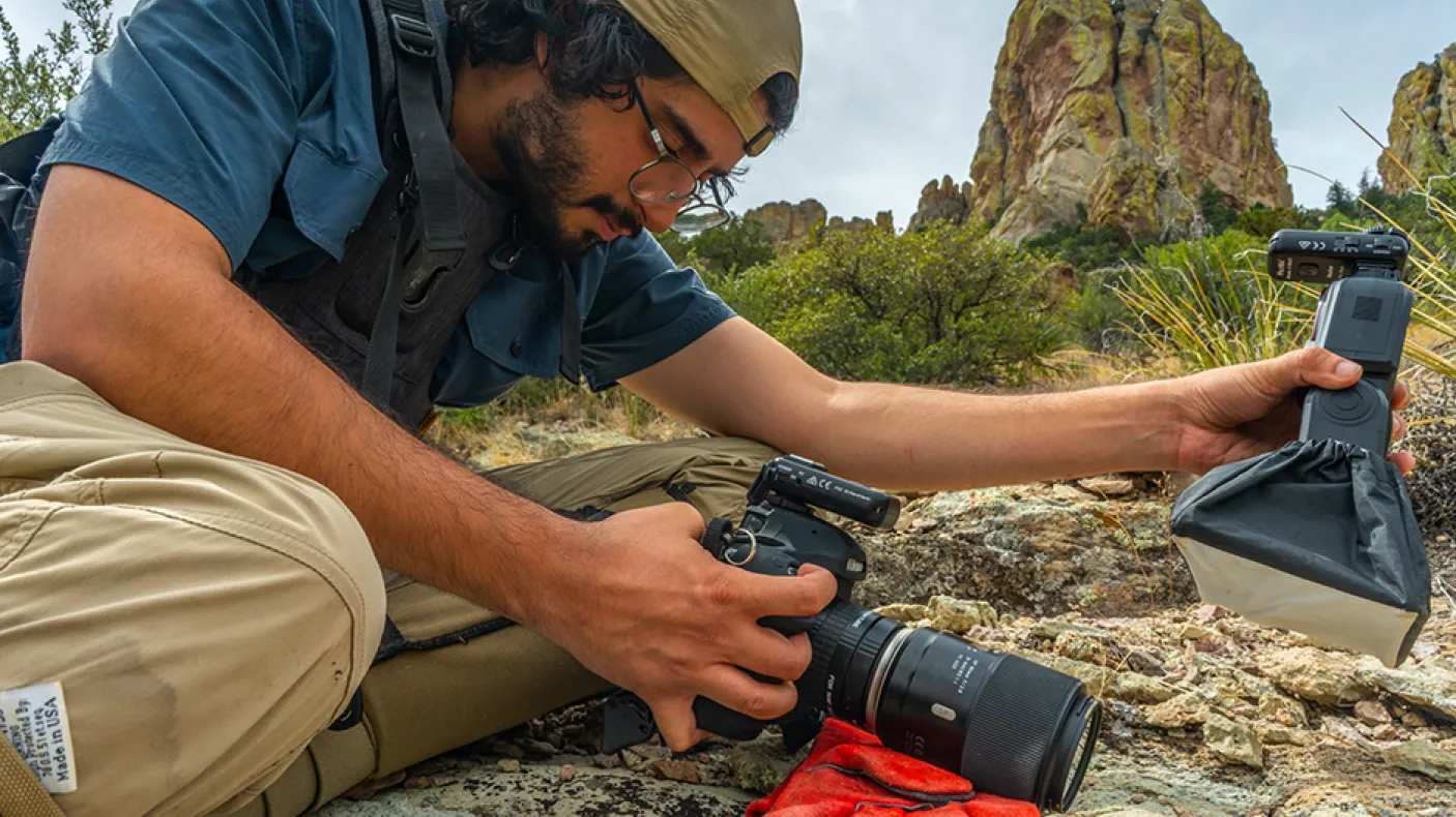 Dans les montagnes Chiricahua en Arizona, Nick Kanakis se prépare à photographier une araignée sauteuse. Crédit photo : Javier Aznar.