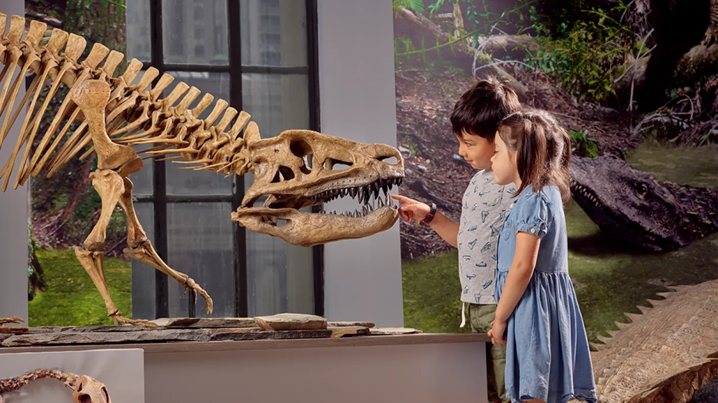 Two children closely observing a large dinosaur skull fossil displayed in a museum exhibit.