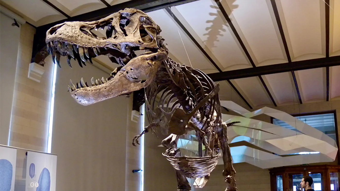 Dinosaure