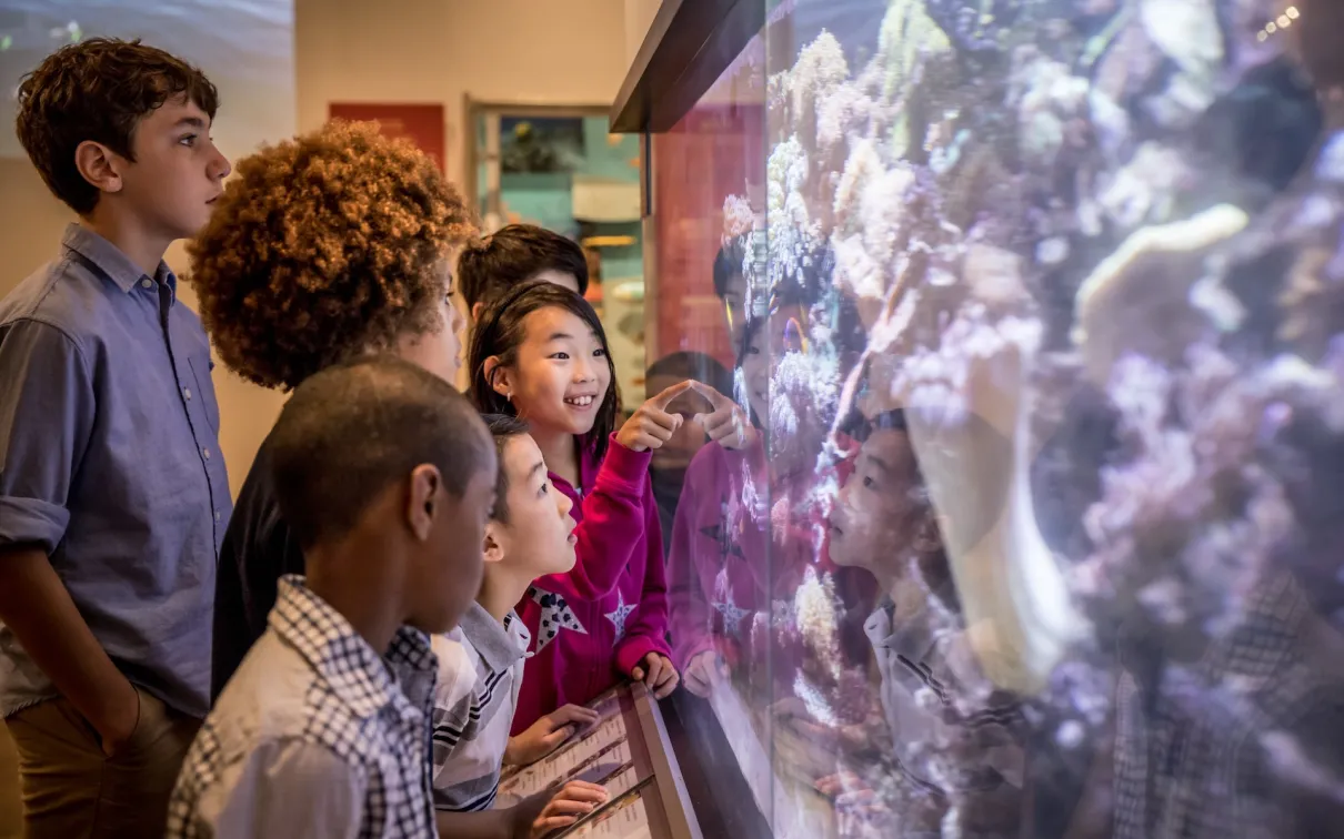 Five children look closely at a large glass display case containing a rock or mineral exhibit.