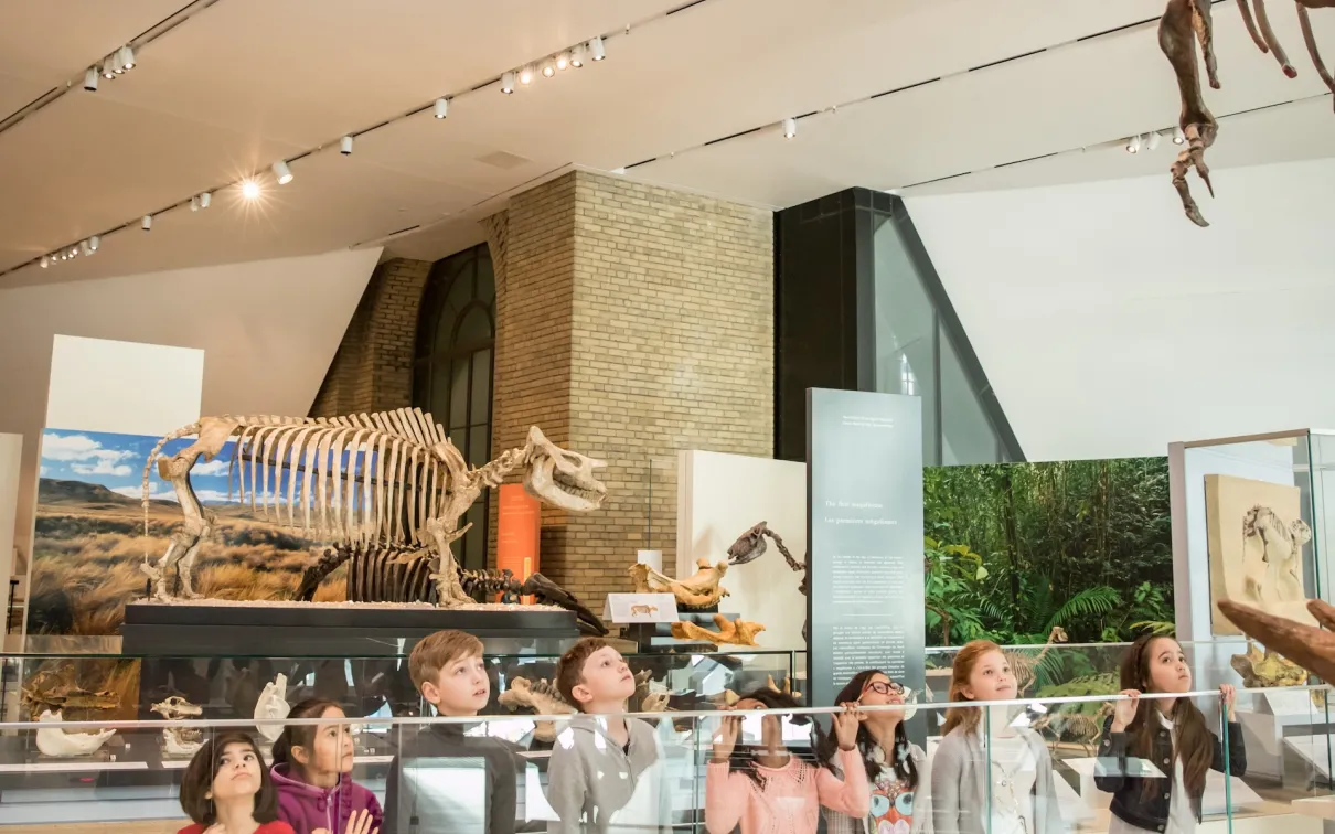 Children and adults looking at museum exhibits with dinosaur skeletons suspended above.
