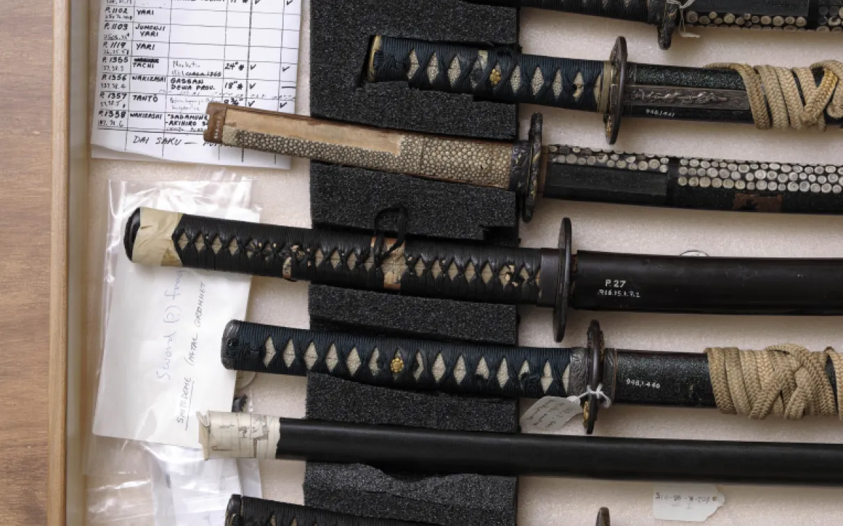 A collection of traditional Japanese swords with black and beige handles and sheaths, displayed horizontally on a foam pad.