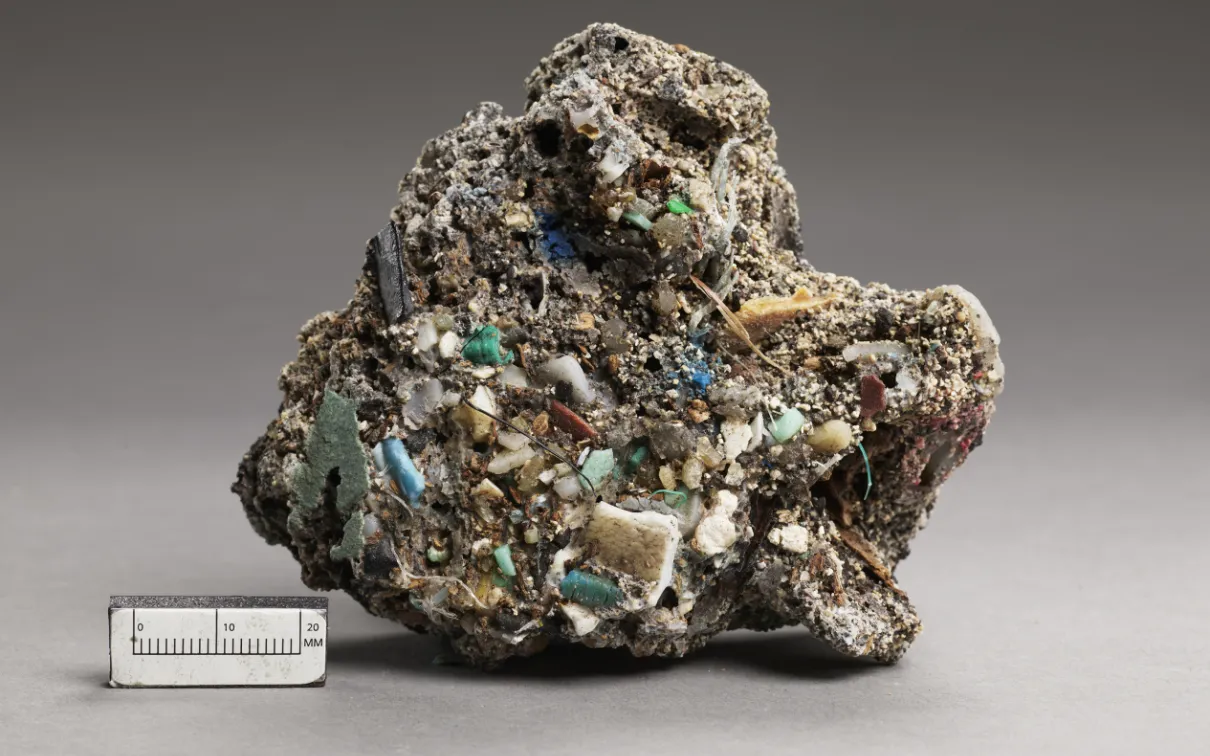 Spécimen minéral brut et irrégulier avec des formations cristallines turquoise et blanches, représenté à côté d'une échelle de 5 cm.