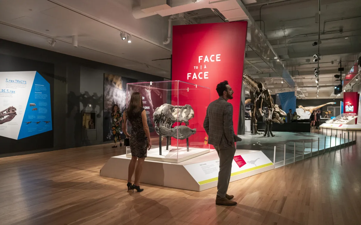 Intérieur d'une galerie de musée montrant deux visiteurs debout près d'un panneau rouge indiquant "FACE to FACE" au-dessus d'une exposition de fossiles.