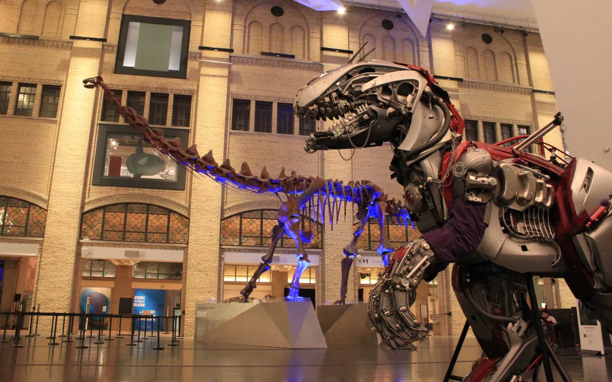 Squelette d'un grand dinosaure exposé dans une salle de musée spacieuse et bien éclairée, dotée de fenêtres cintrées et d'un haut plafond.