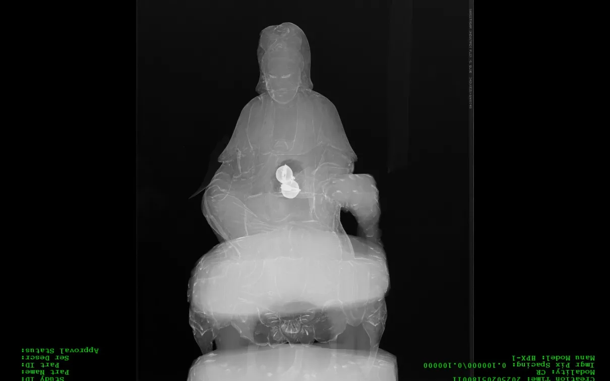 X-ray image of a seated Buddha statue holding a flower in its right hand.