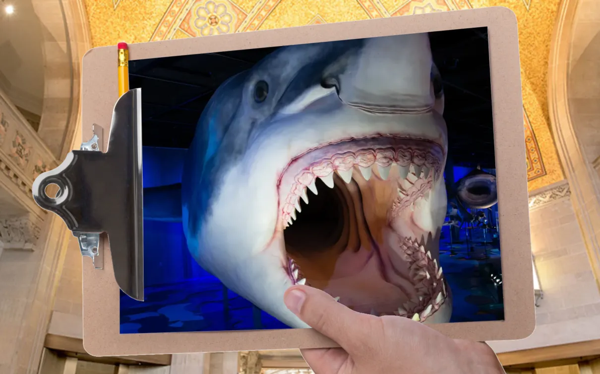 Une main tient un presse-papiers devant une galerie au plafond en mosaïque. Le presse-papiers contient la photo d'un énorme requin à la gueule béante.
