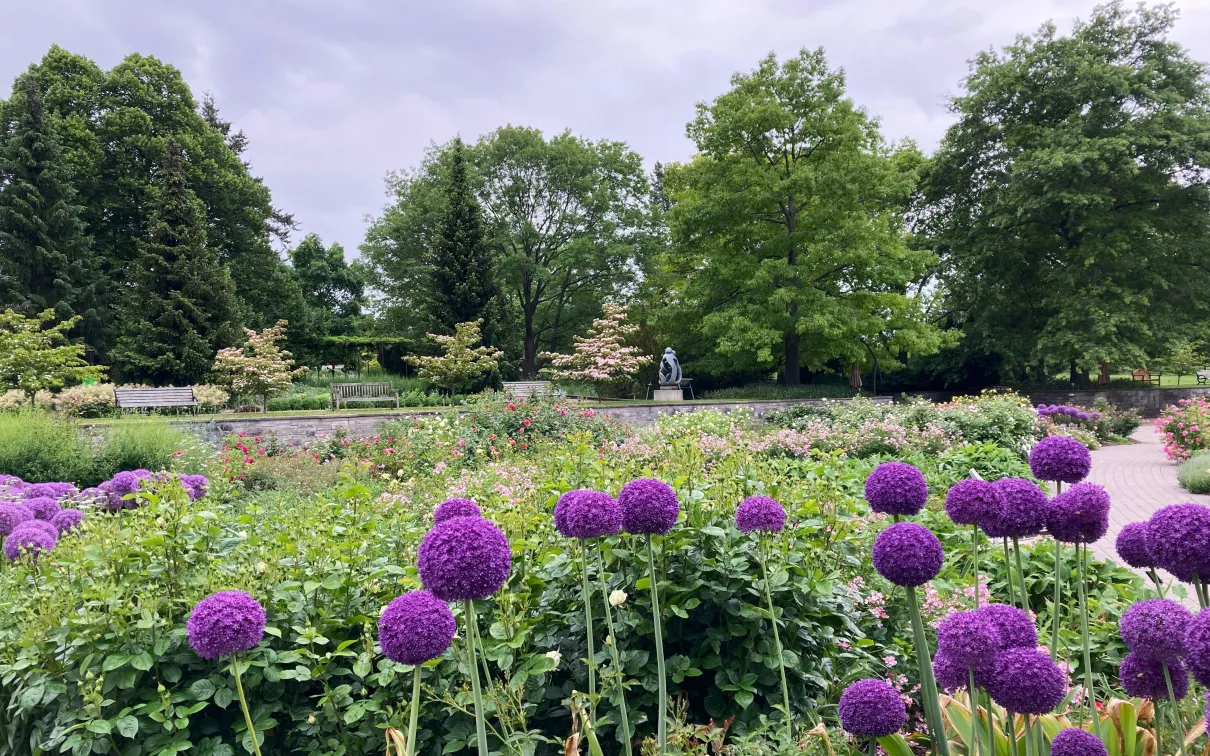 Jardin botanique royal - Hendrie Park