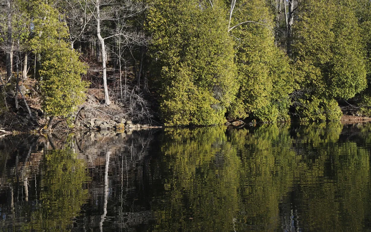 Lac Crawford