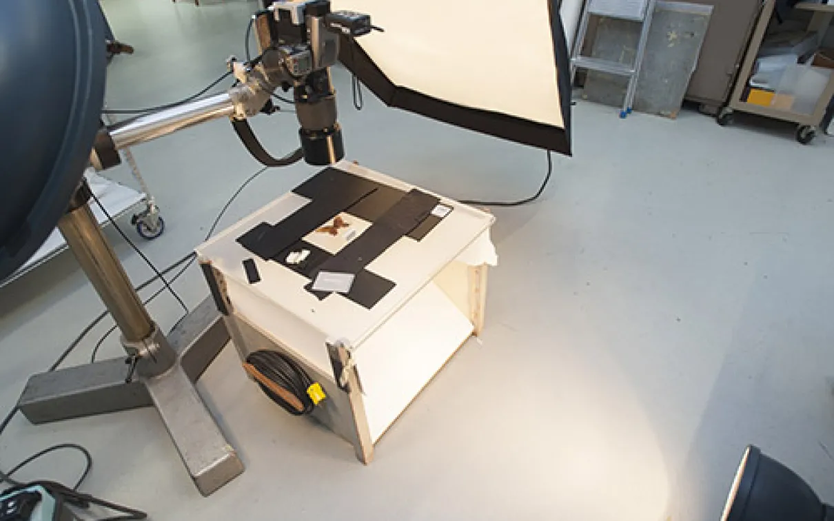 photo studio
