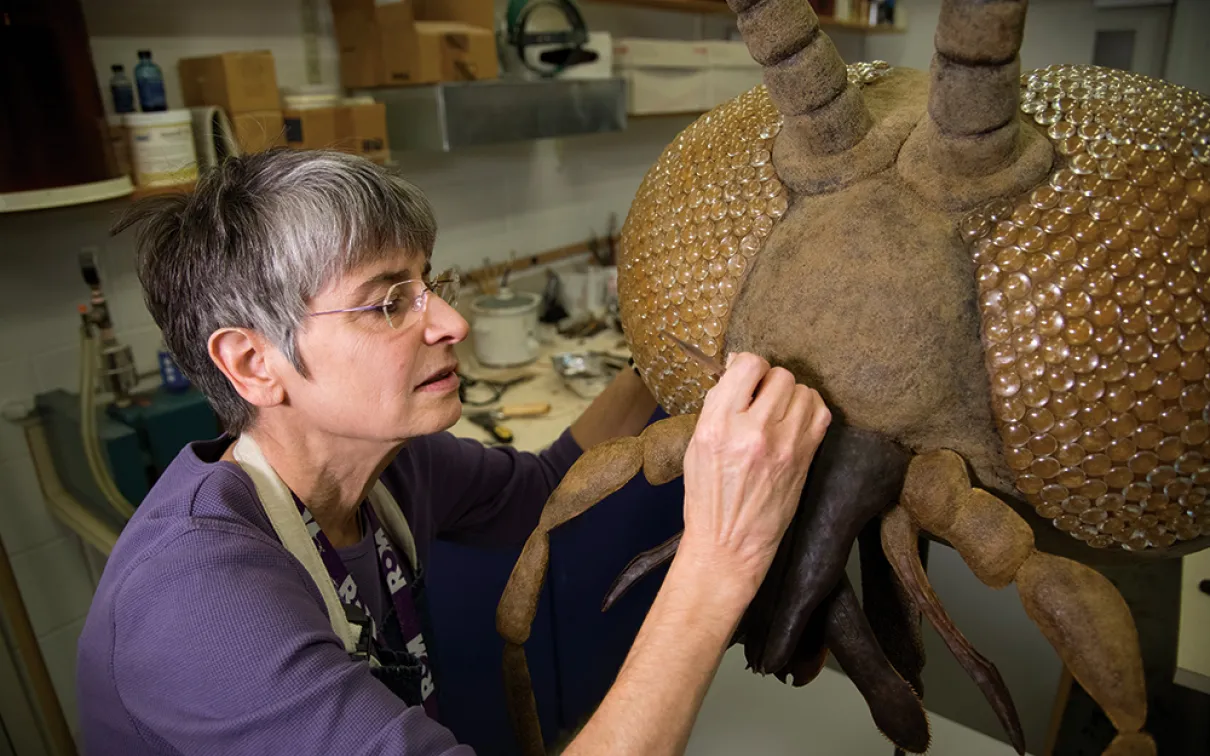 A woman with short gray hair carefully works on a large brown insect model in a workshop.