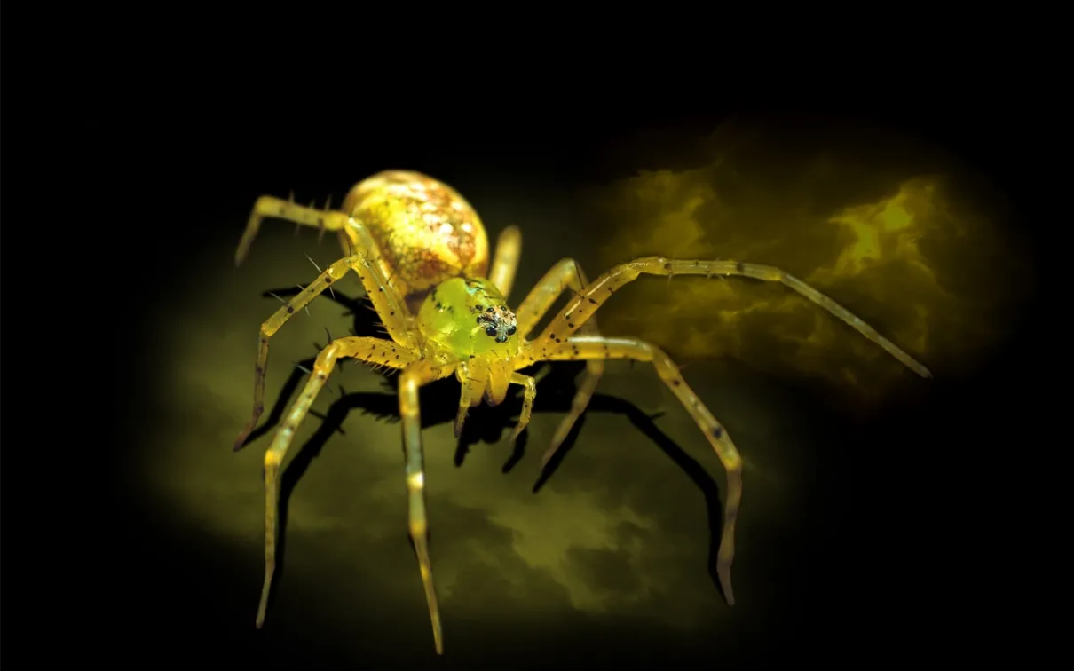 Golden-yellow spider with green eyes on a dark black and yellow cloudy background.
