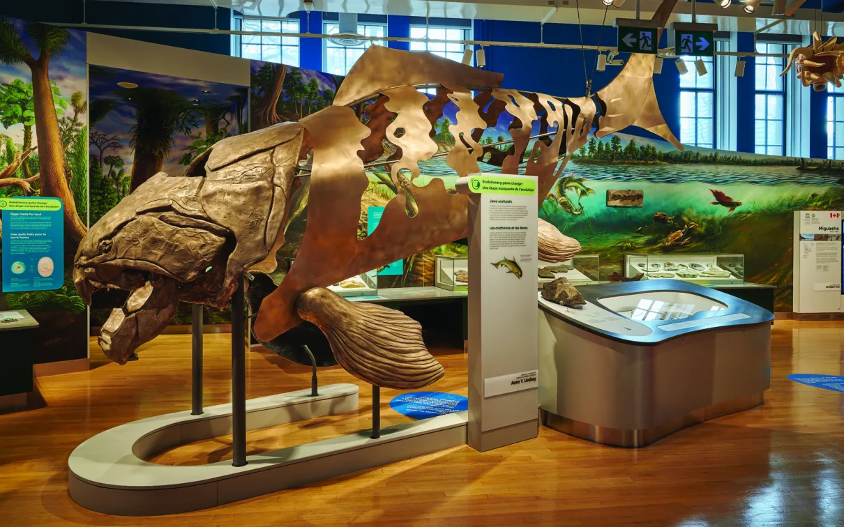 Full sized, bronze cast of a Dunkleosteus.