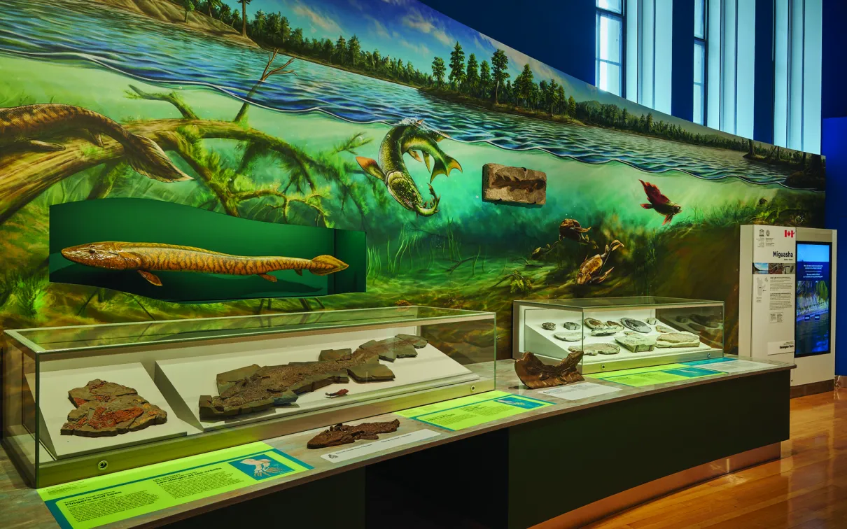 Gallery display showing an artist's rendition of an underwater scene.