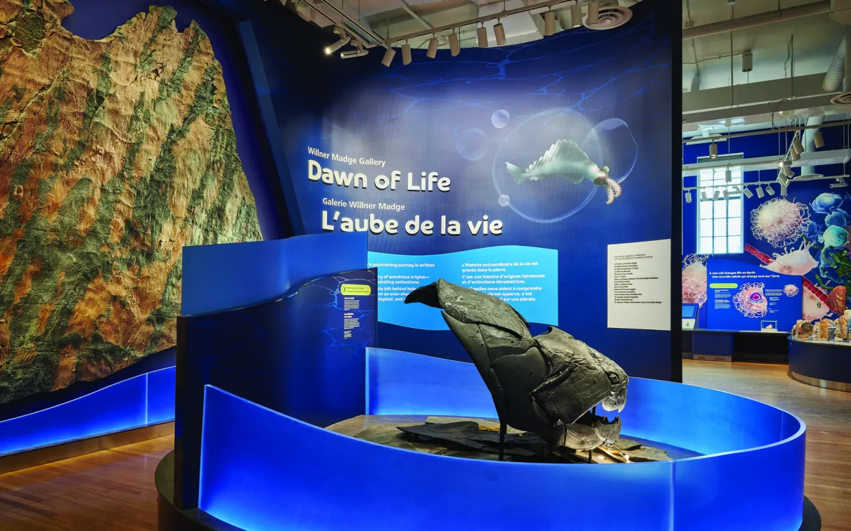 Gallery entrance, showing rock mounted on a wall and a cast of a prehistoric fish.