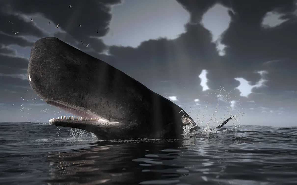 Sperm whale