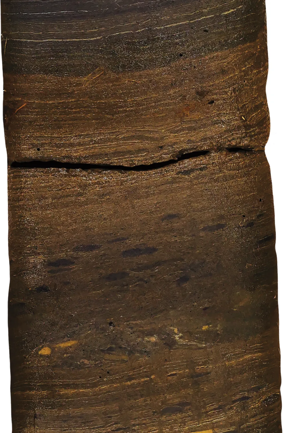 Detail of core from Crawford Lake showing varving