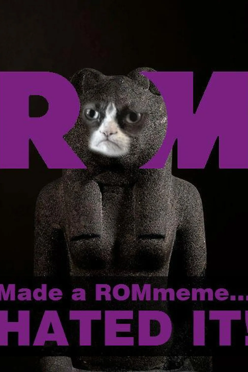 ROM Made a ROM meme... HATED IT!