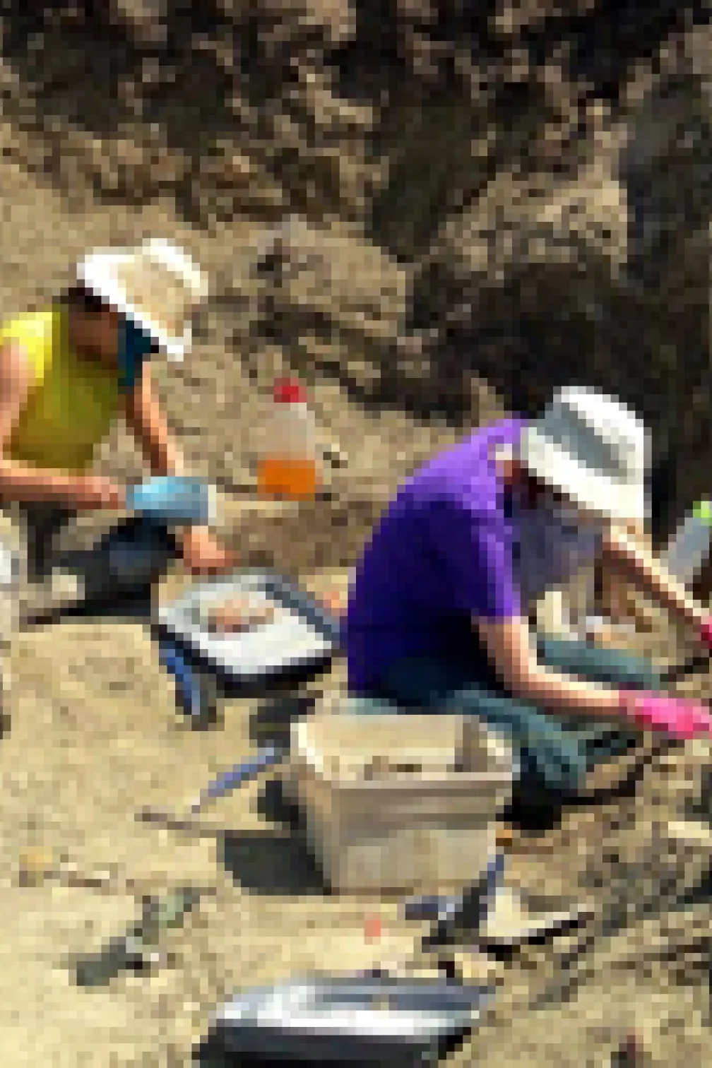 Two University of Toronto undergraduate students digging in the Wendiceratops bonebed. Credit: David Evans
