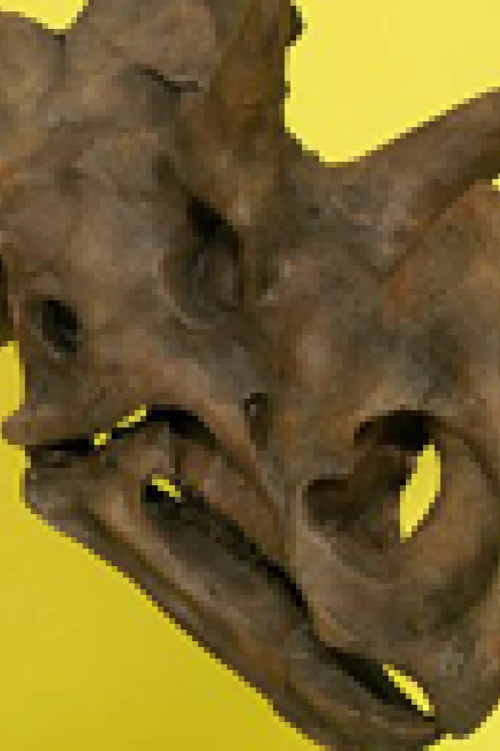 See Wendiceratops on display at the ROM in the New Dino Discovered exhibition.