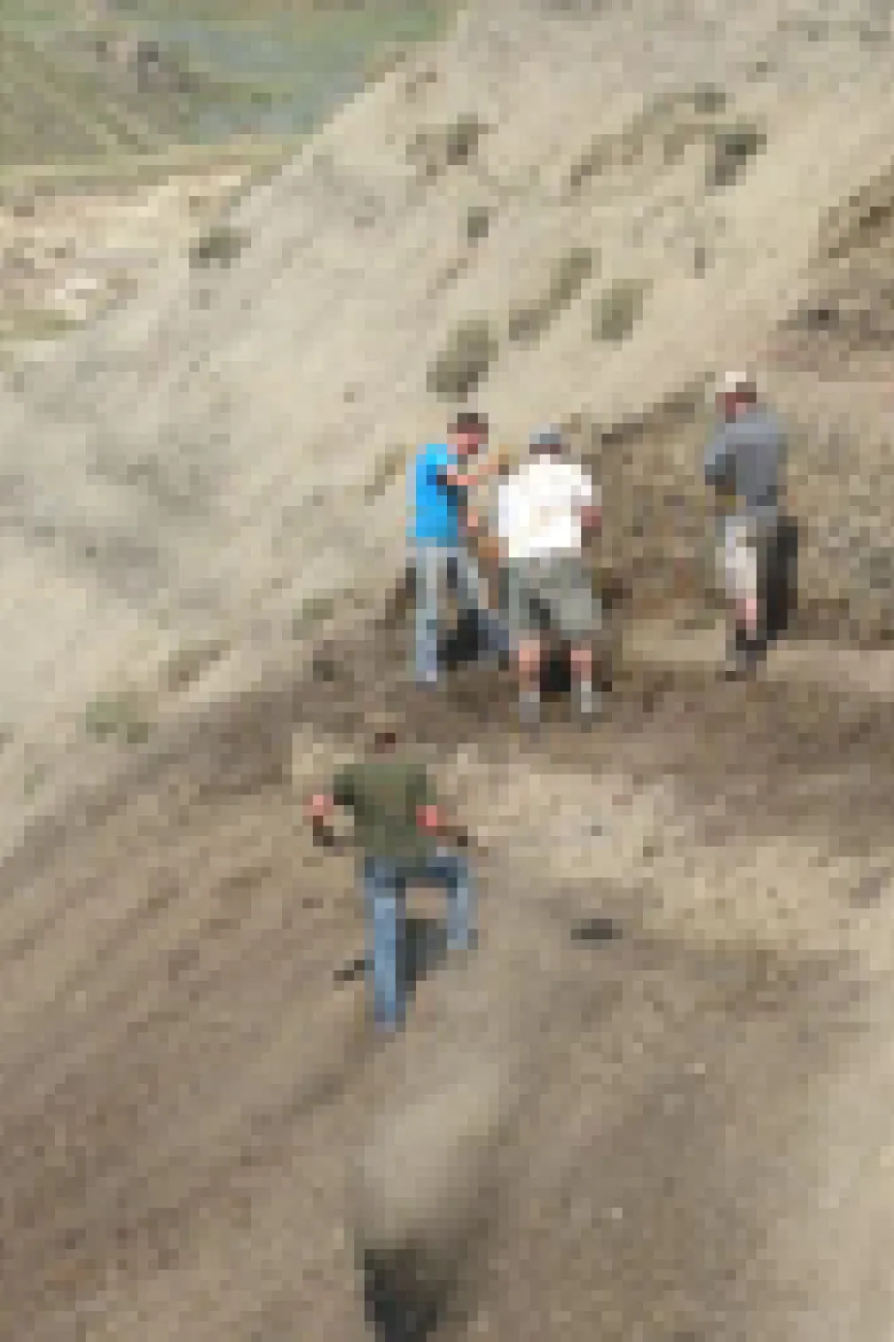 Removing the tons of rock from above the fossil-bearing bonebed layer where the new dinosaur was found (summer 2012). Credit: David Evans