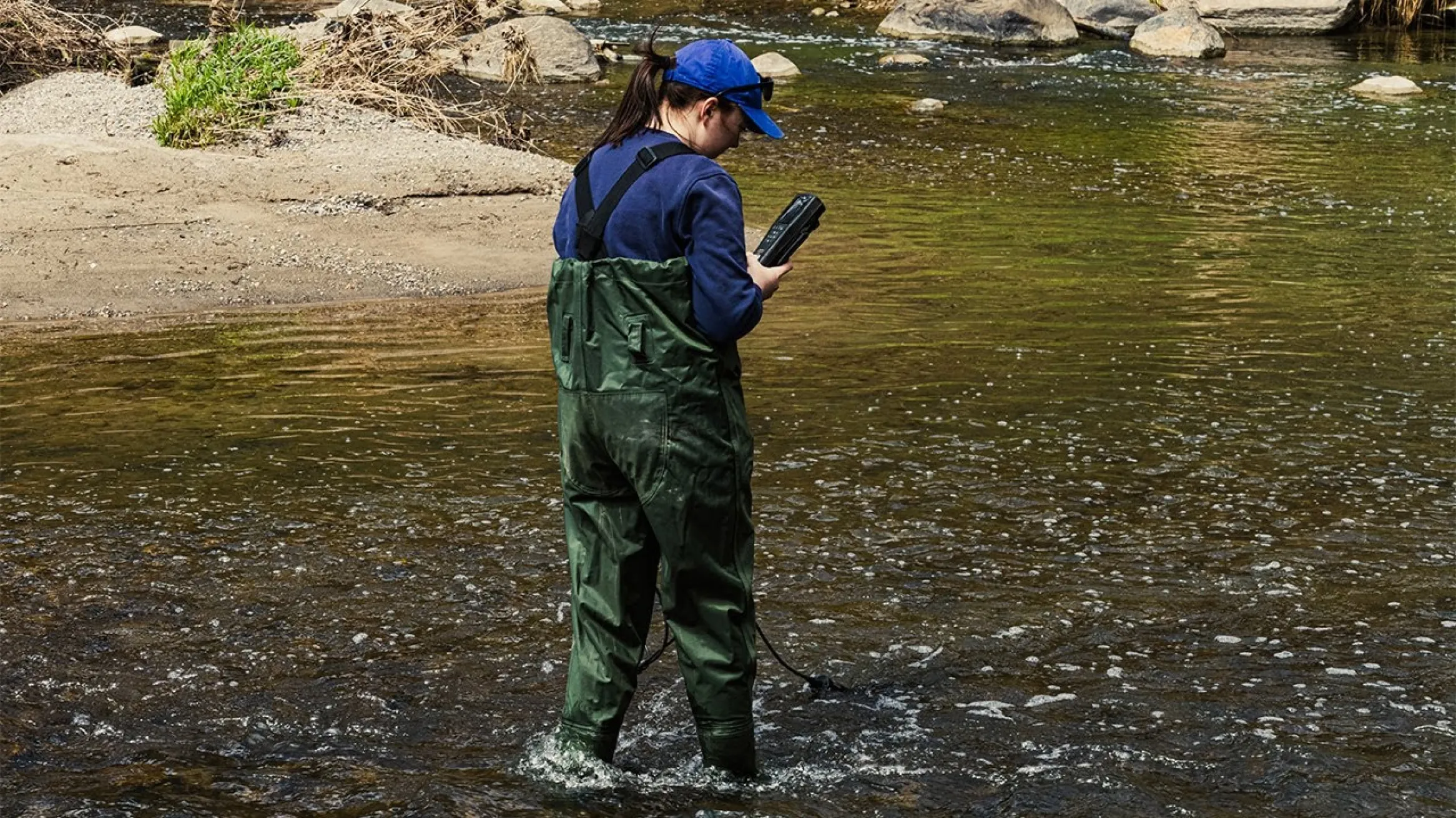 Decoding Biodiversity: How Environmental DNA Can Detect and Save Fishes