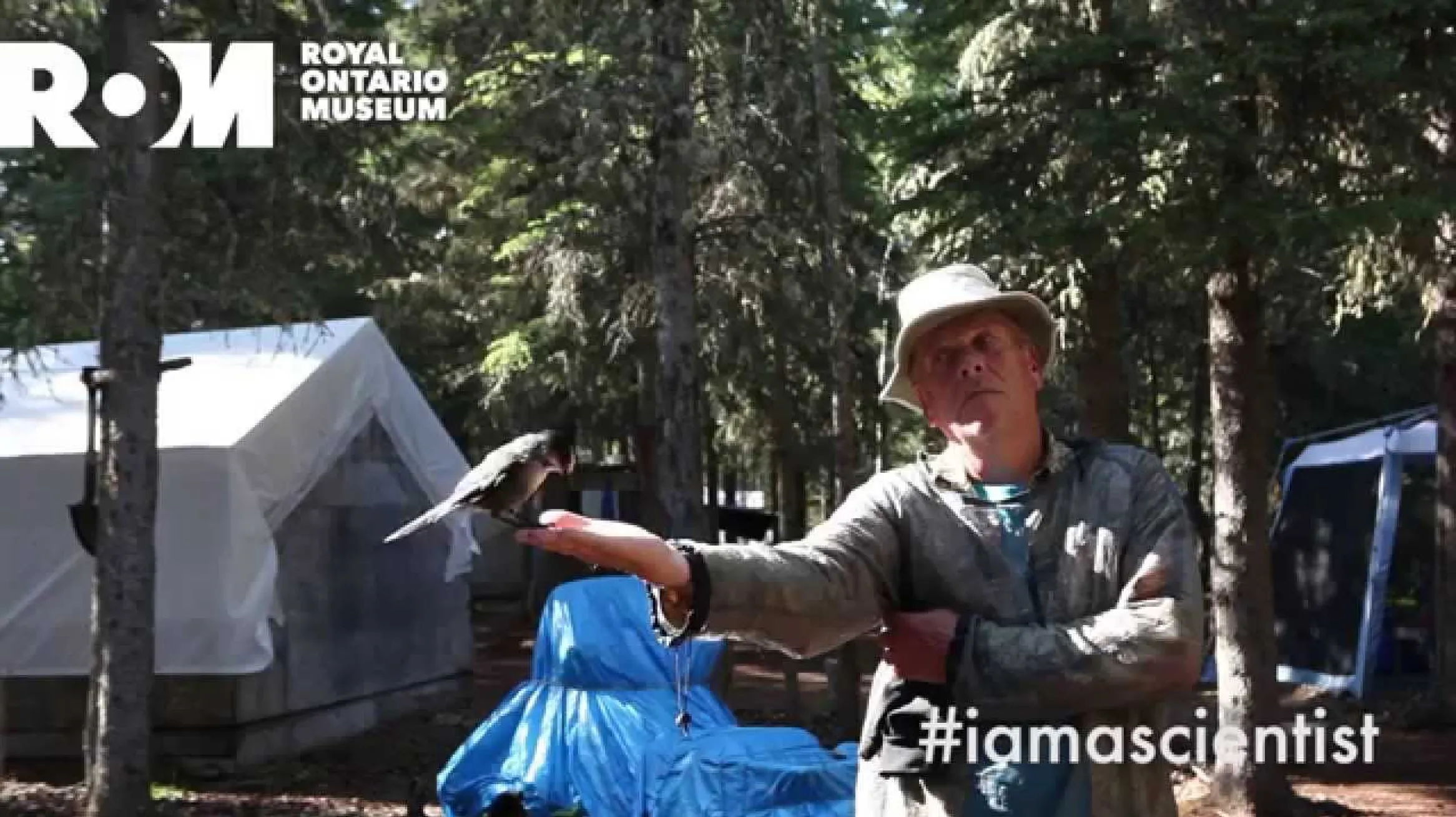 ROM Scientist : Mark Peck