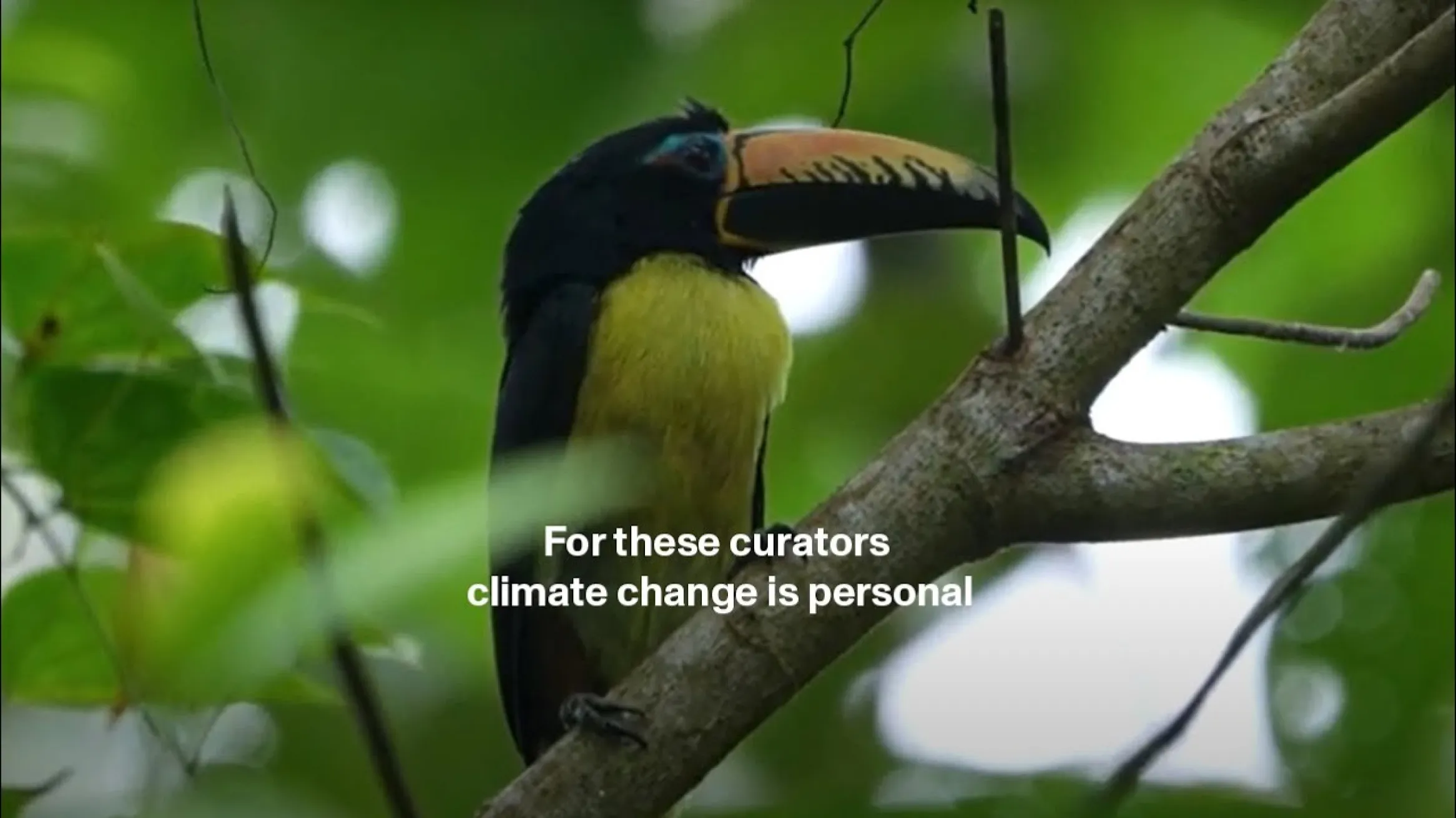 Climate Stories